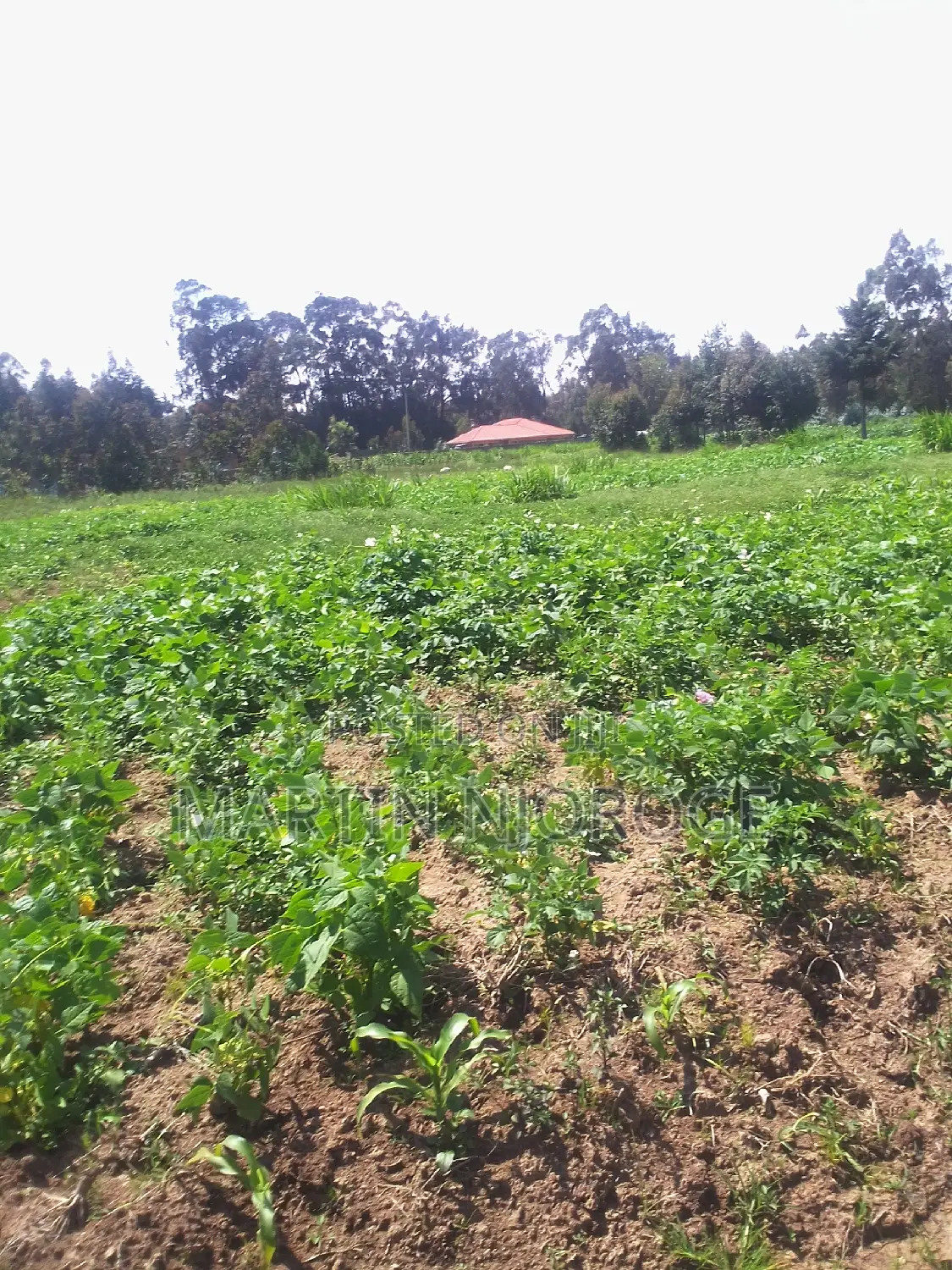 1 Acre Ndinda