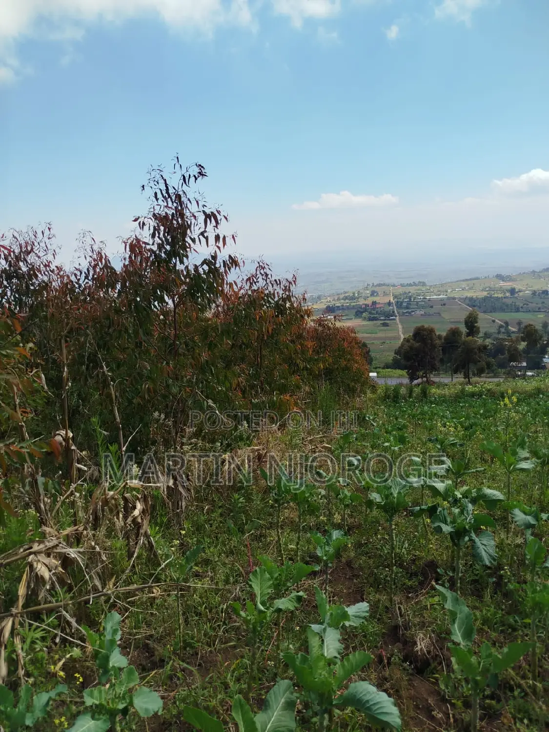 1⁄2 Acre Fryover