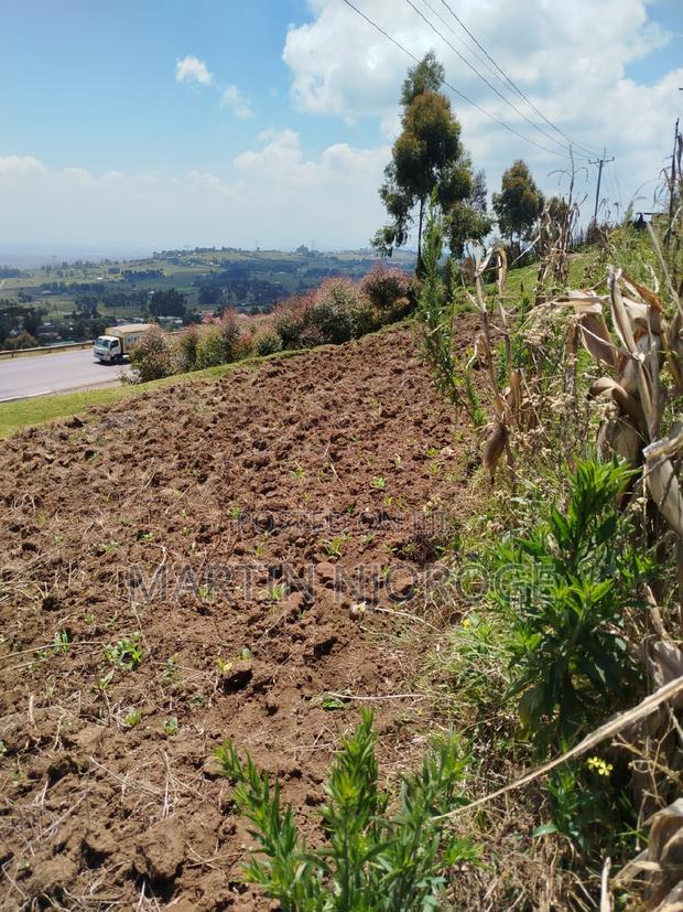 1⁄2 Acre Fryover - thumbnail 3