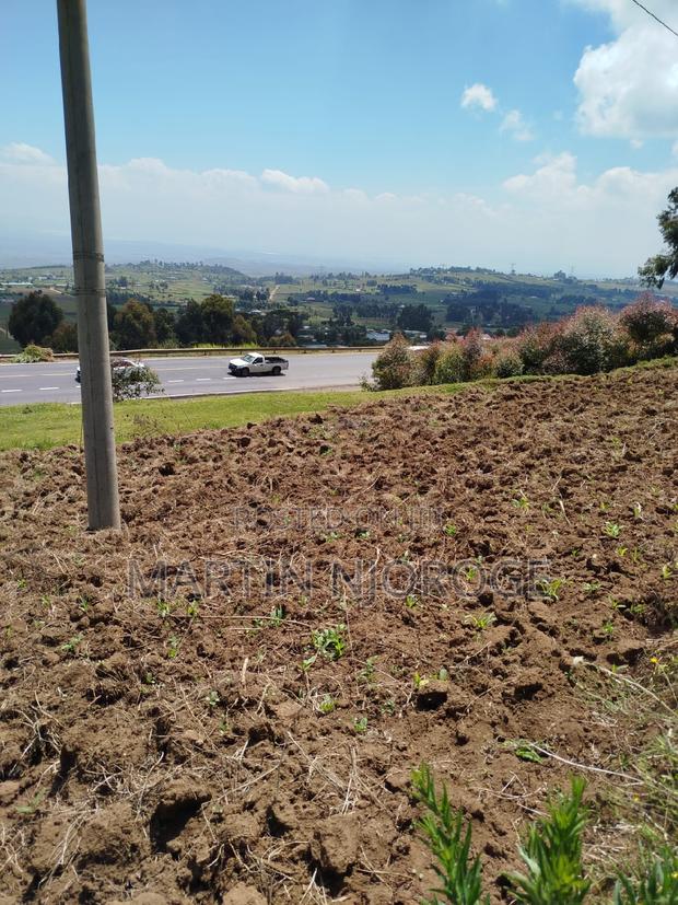 1⁄2 Acre Fryover - thumbnail 4