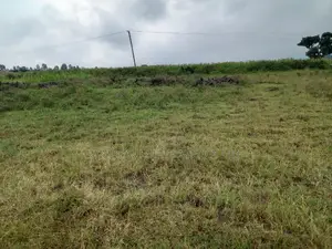 For Sale Land