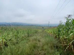 For Sale Land