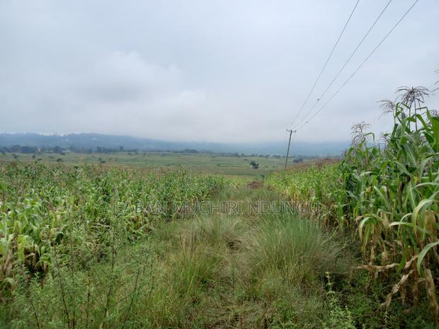 For Sale Land - thumbnail 3