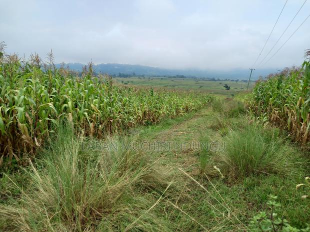 For Sale Land - thumbnail 2