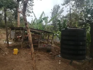 1 Acre Land