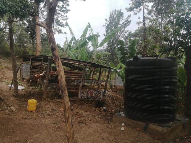 1 Acre Land - thumbnail 5