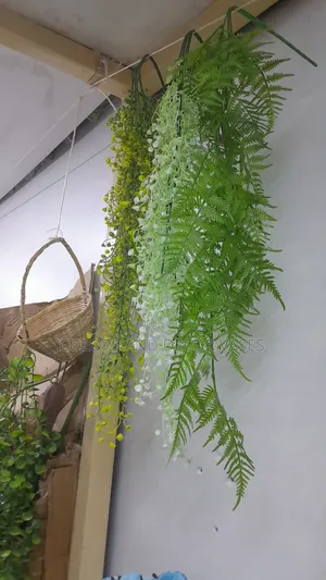 Vines To Glam Your Walls