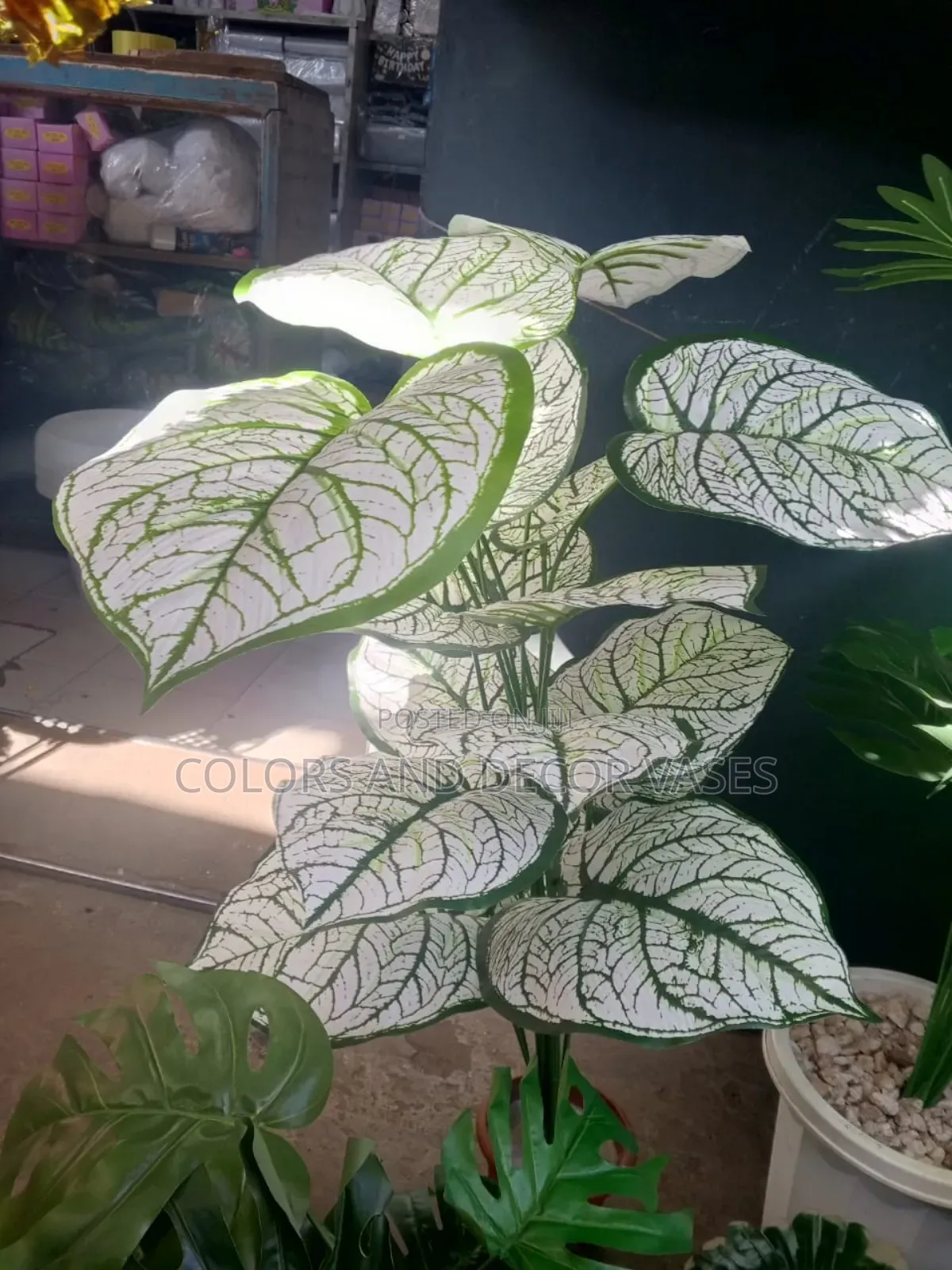 White Plant Artificial Without Vase