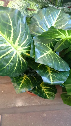 Green Stripped Plant Artificial With No Vase