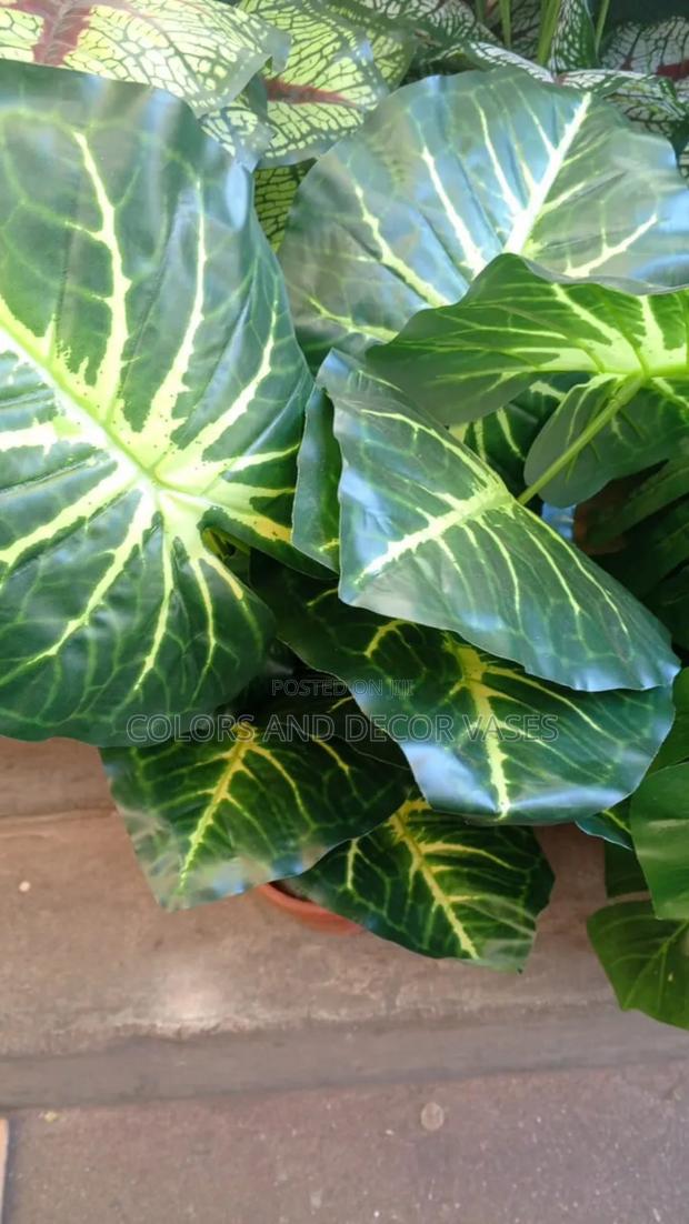 Green Stripped Plant Artificial With No Vase