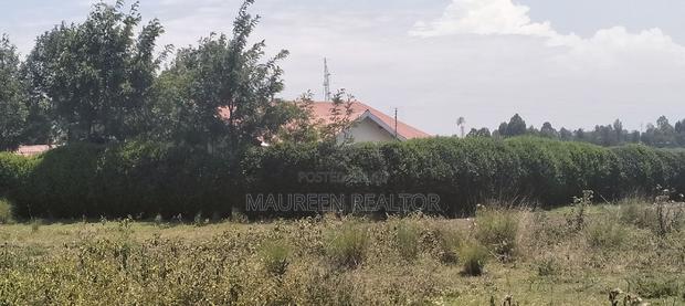 Nanyuki Town Commercial Plot - 40*80 Plots Nanyuki - thumbnail 3