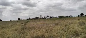 10 Acre Land for Sale- Athiriver