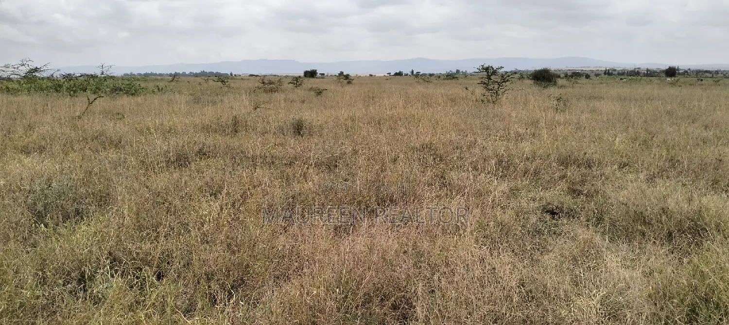 10 Acre Land for Sale- Athiriver