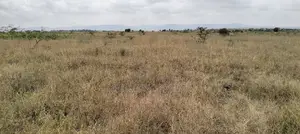 10 Acre Land for Sale- Athiriver