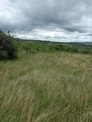 5 Acre Land for Sale - Mua Hills