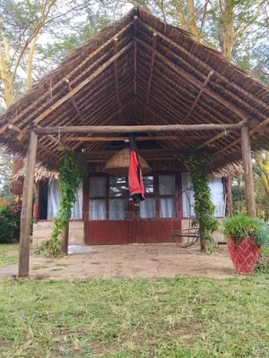 Makuti Roofing Construction
