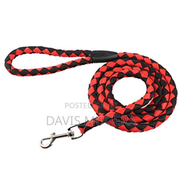 Nylon Dog Leash Walking Rope With Metal Clasp - 5ft Long - main view