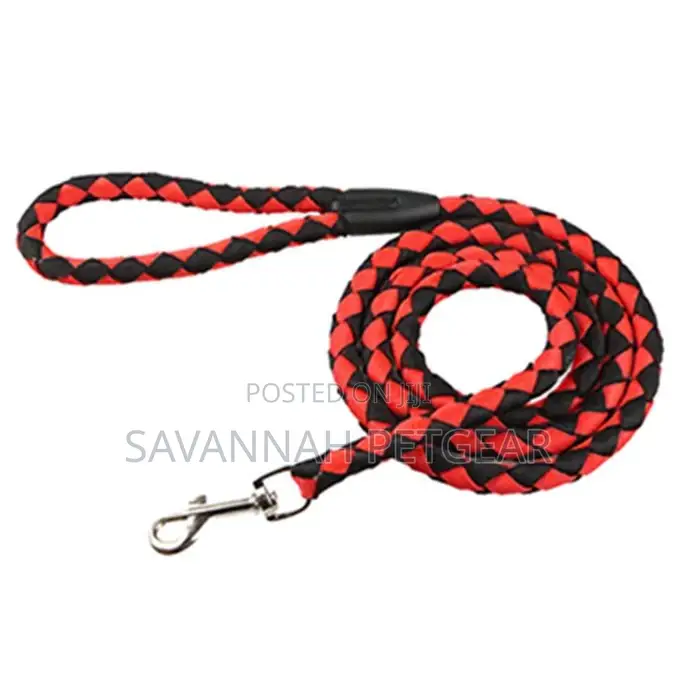 Nylon Dog Leash Walking Rope With Metal Clasp - 5ft Long