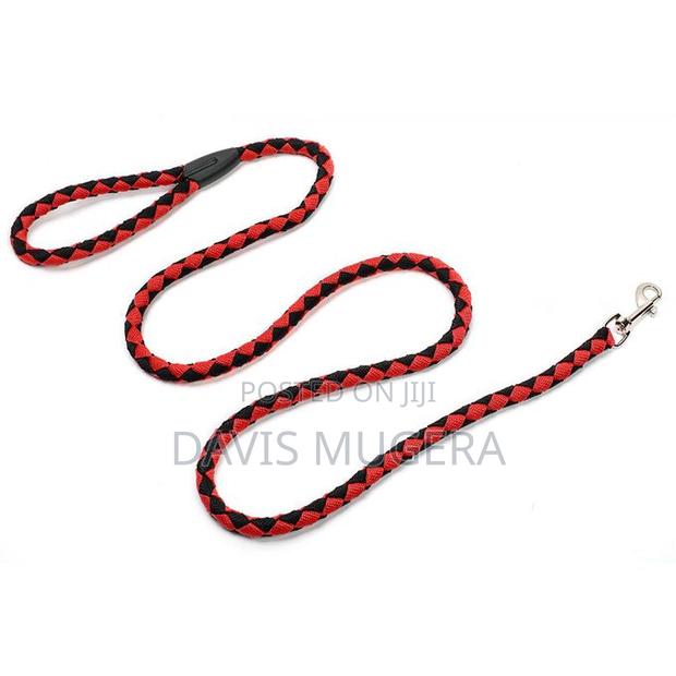 Nylon Dog Leash Walking Rope With Metal Clasp - 5ft Long - thumbnail 3