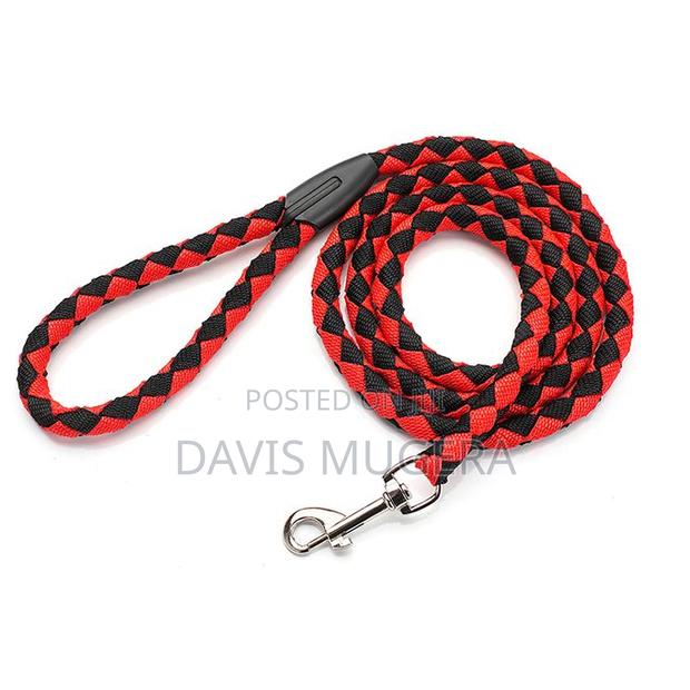 Nylon Dog Leash Walking Rope With Metal Clasp - 5ft Long - thumbnail 5