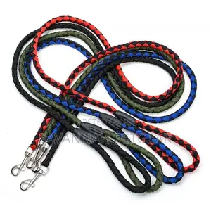 Nylon Dog Leash Walking Rope With Metal Clasp - 5ft Long
