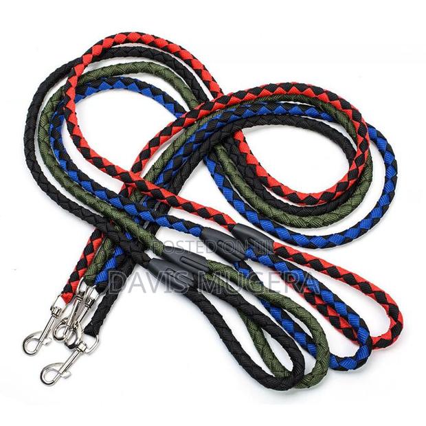 Nylon Dog Leash Walking Rope With Metal Clasp - 5ft Long - thumbnail 4