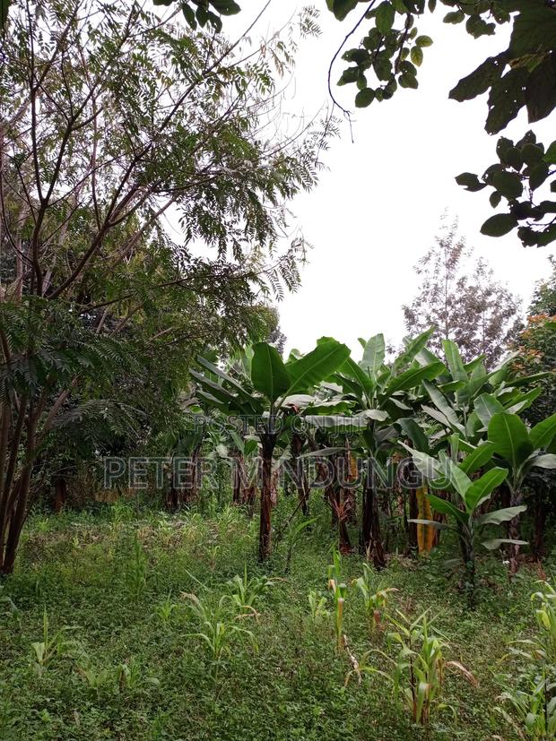 Prime Land on Sale 1/4 Acre Ruaka - thumbnail 2