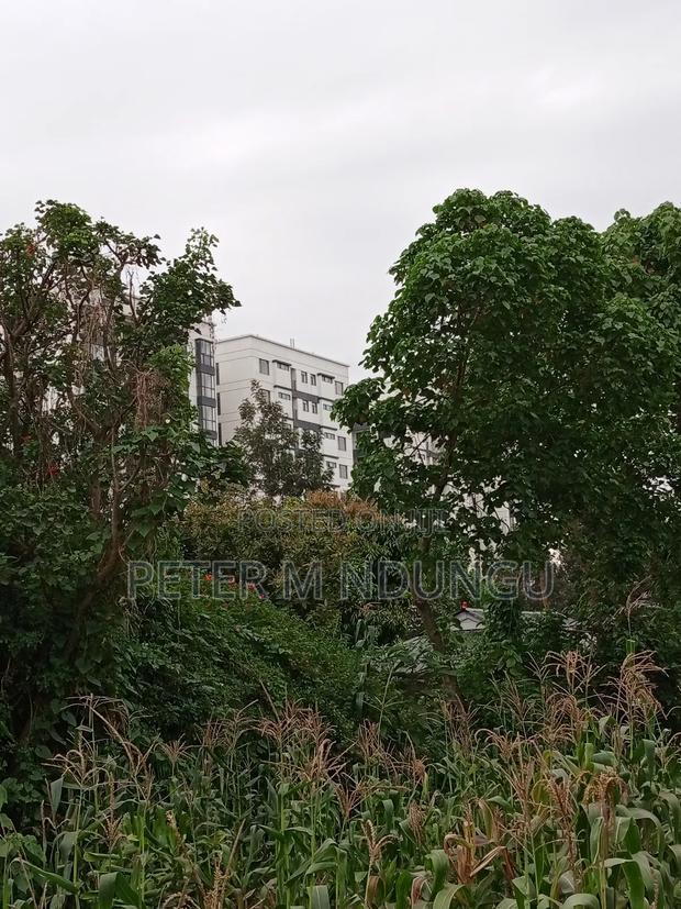 Prime Land on Sale 1/4 Acre Ruaka - thumbnail 3