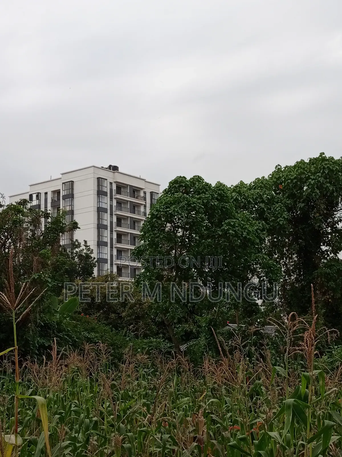 Prime Land on Sale 1/4 Acre Ruaka