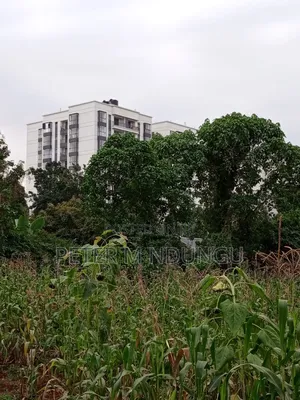 Prime Land on Sale 1/4 Acre Ruaka