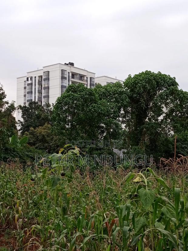 Prime Land on Sale 1/4 Acre Ruaka - thumbnail 4