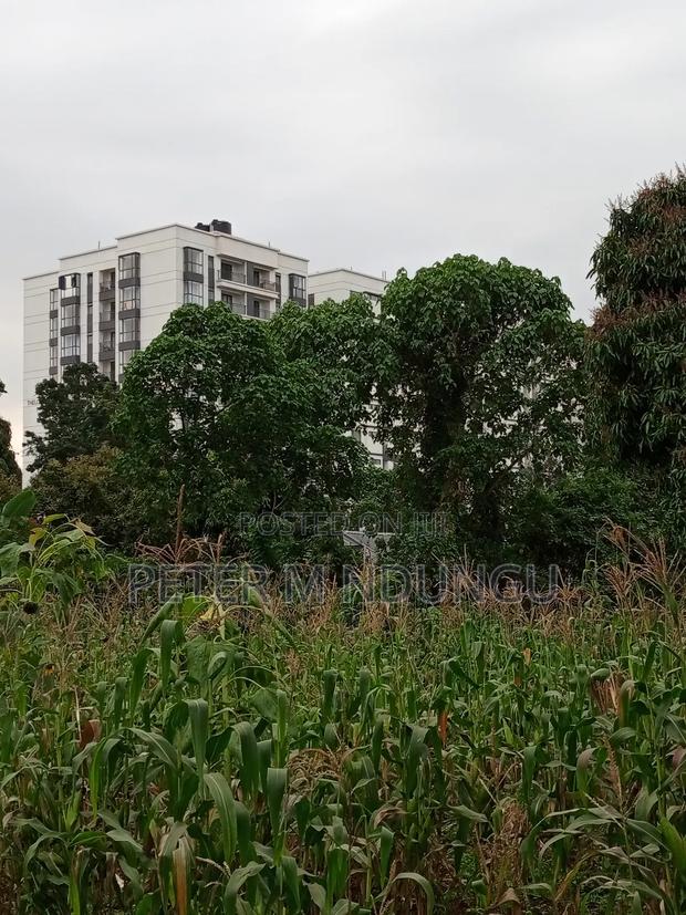 Prime Land on Sale 1/4 Acre Ruaka - thumbnail 6