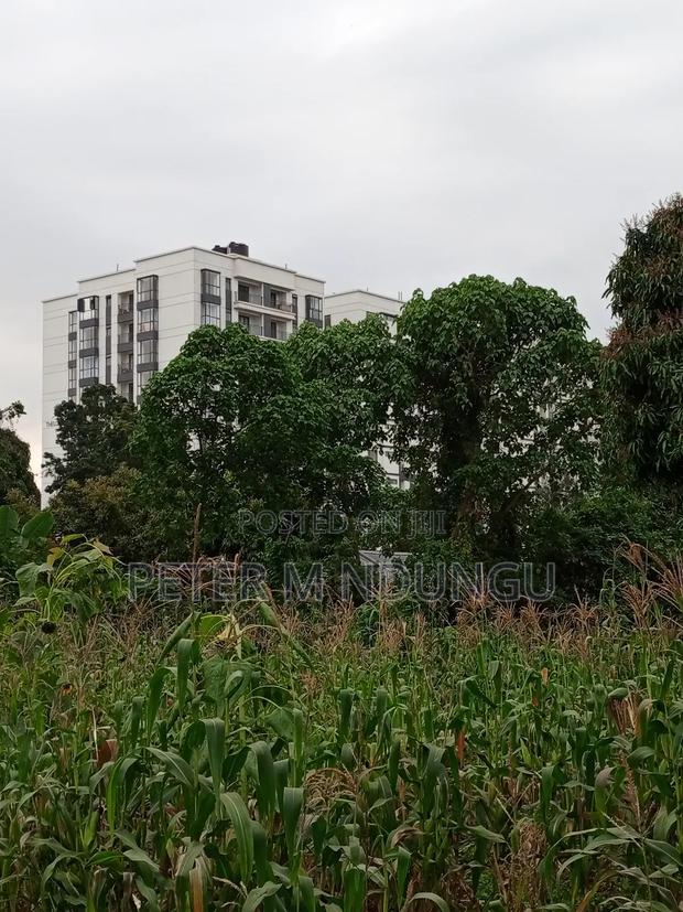 Prime Land on Sale 1/4 Acre Ruaka - thumbnail 7