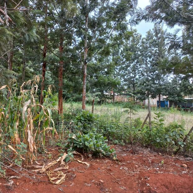 Prime 3 Plots for Sale – 5km From Embu Town - thumbnail 13