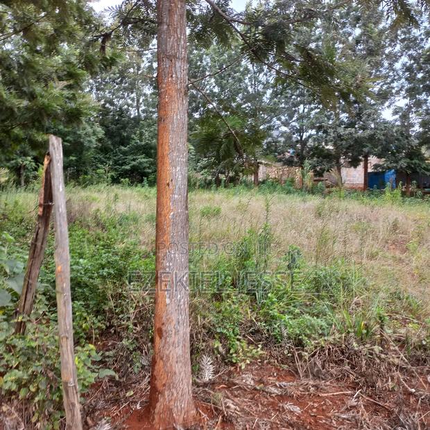 Prime 3 Plots for Sale – 5km From Embu Town - thumbnail 15