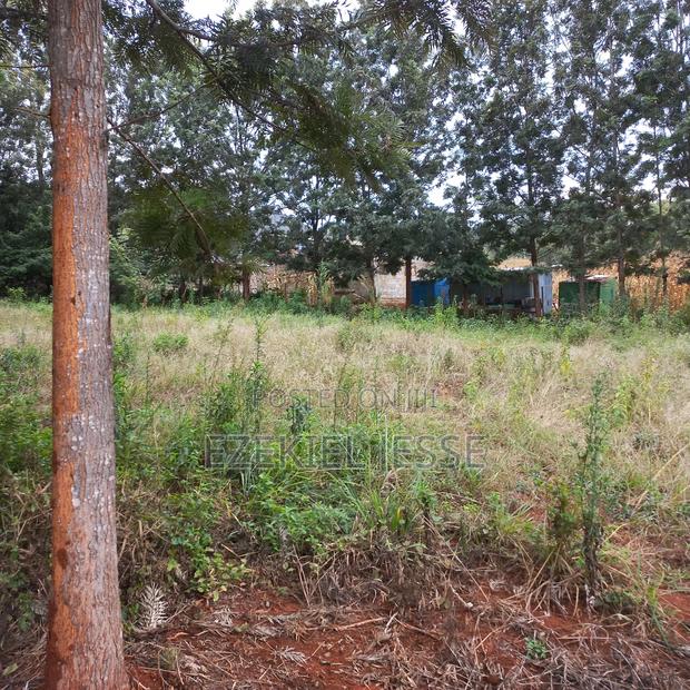 Prime 3 Plots for Sale – 5km From Embu Town - thumbnail 16