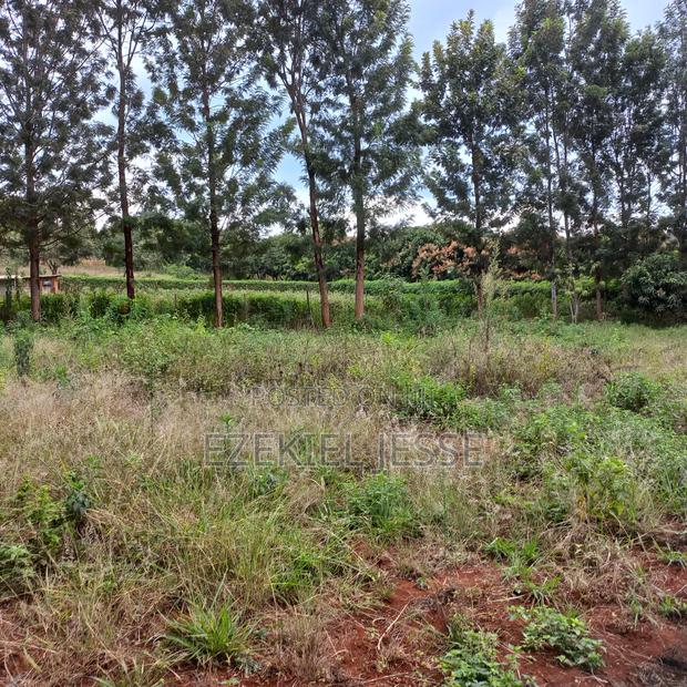 Prime 3 Plots for Sale – 5km From Embu Town - thumbnail 18