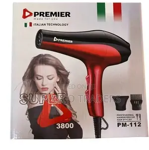 Premier Blow Dry Hair Dryer / Hair Straightener
