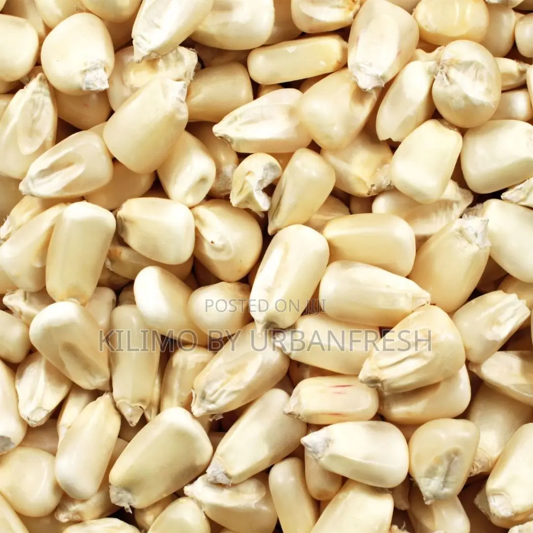 Maize Whole/Grounded (70kgs)