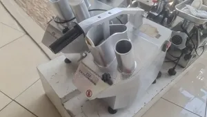 Commercial Vegetable Processor