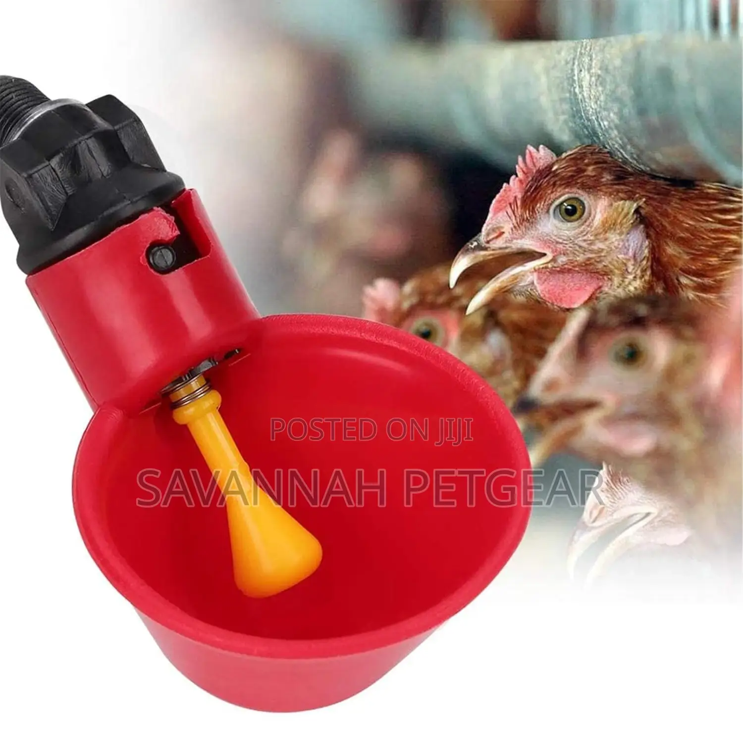 Red Plastic Backyard Water Feeder for Bird Quail Pigeon Duck