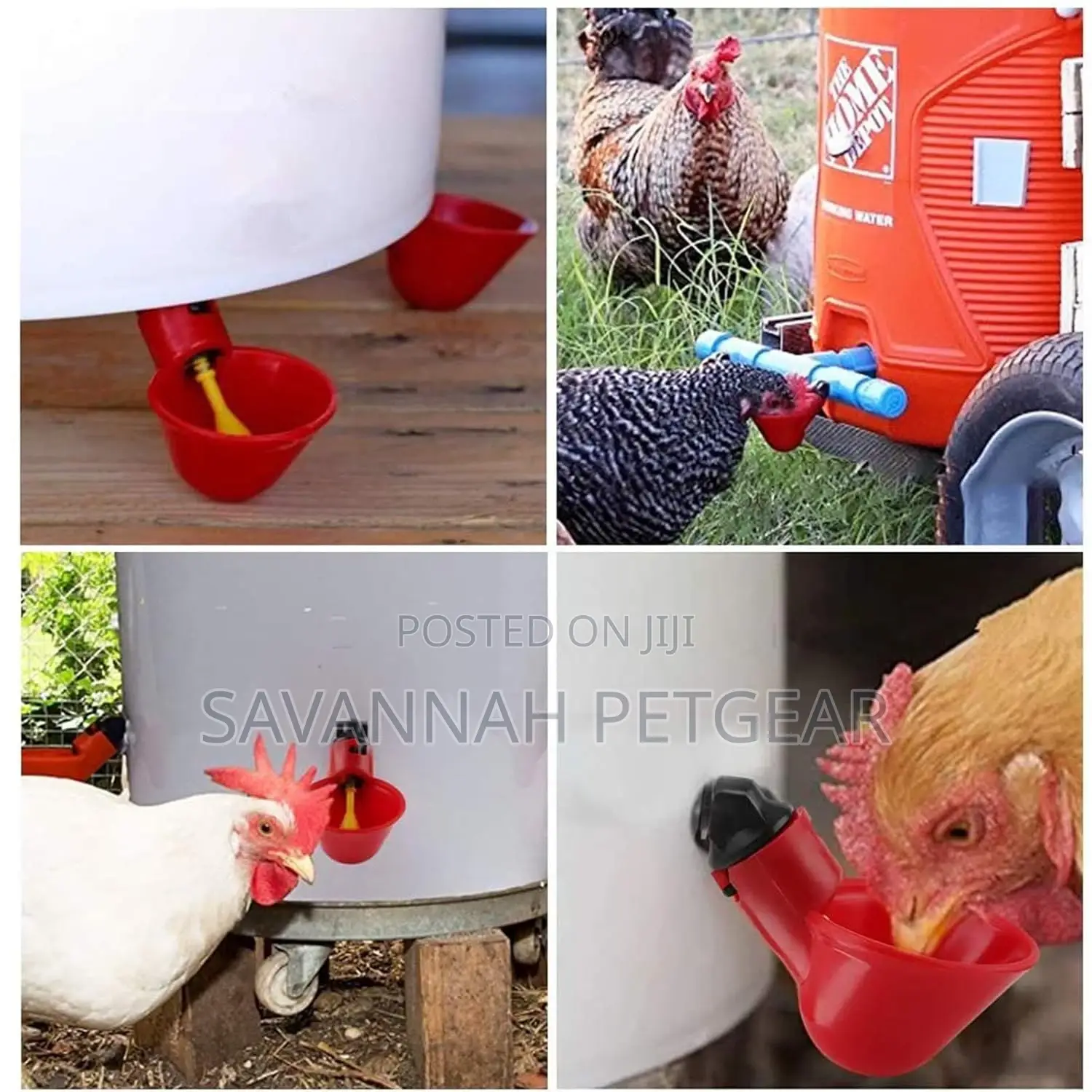 Red Plastic Backyard Water Feeder for Bird Quail Pigeon Duck