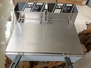 12l Electric Fryer