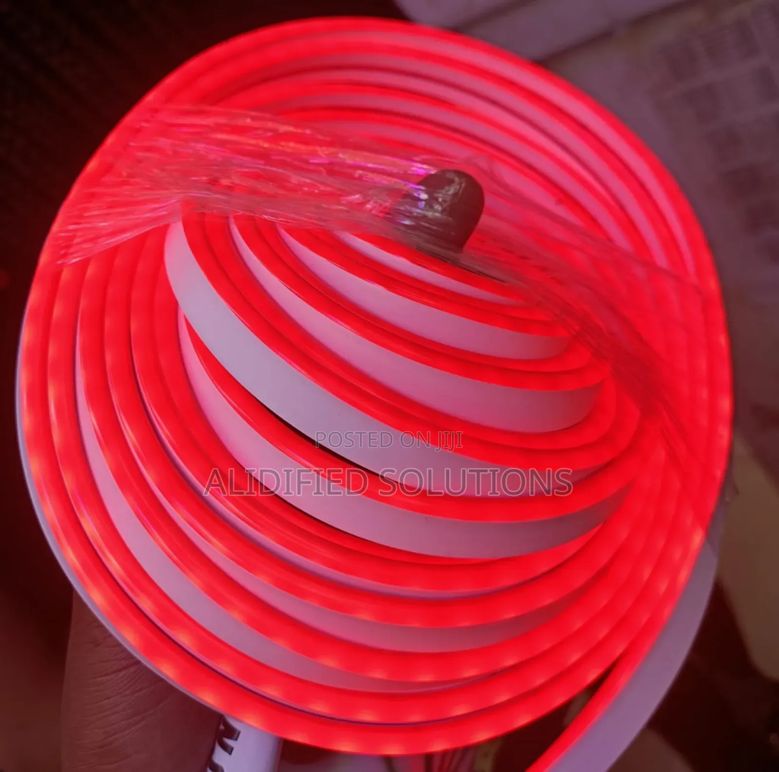 Neon Snakelight 5m