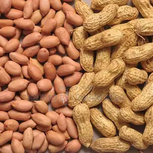 Groundnut Big ( Njugu Karanga ) for Consumption. 3 Kg
