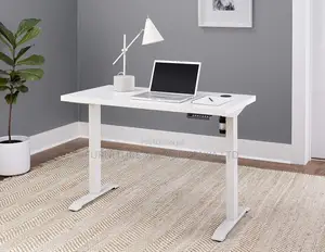 Standing Electric Desk