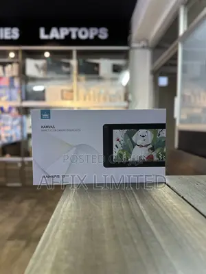 Huion Kamvas 12
