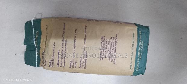 Highland Maize Seeds 6213 2kgs Kenyaseed - thumbnail 5