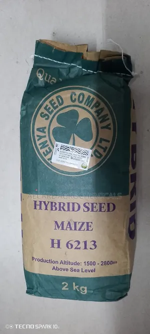 Highland Maize Seeds 6213 2kgs Kenyaseed