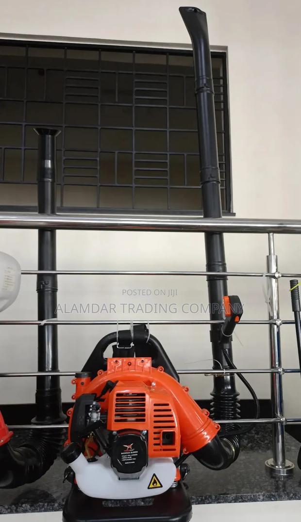 Back Pack Blower - main view